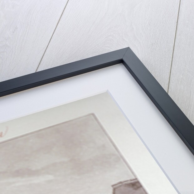 North view of the Philanthropic Society Institution on London Road, Southwark, London by John Chessell Buckler