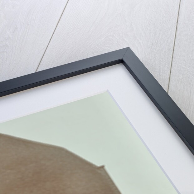 Crowd of East End children, Red Lion Street, Wapping, London, 1904 by Unknown
