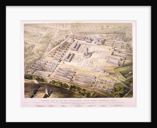 Metropolitan Cattle Market, London by King