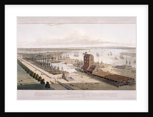 Brunswick Dock, and East India Dock, Poplar, London by William Daniell