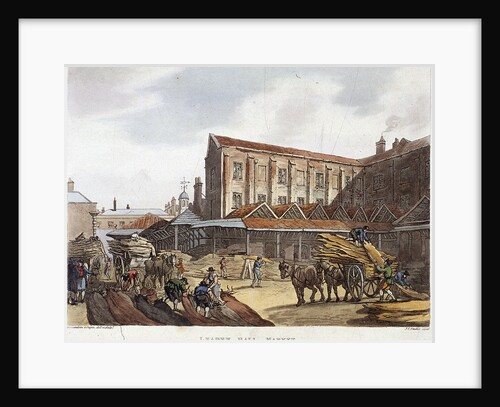 Leadenhall Market, London by Augustus Charles Pugin