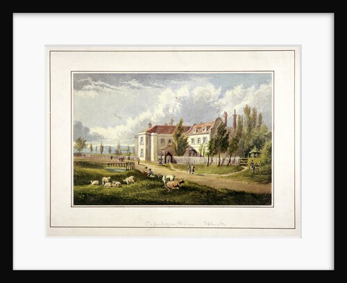 Copenhagen Fields, Islington, London by Anonymous