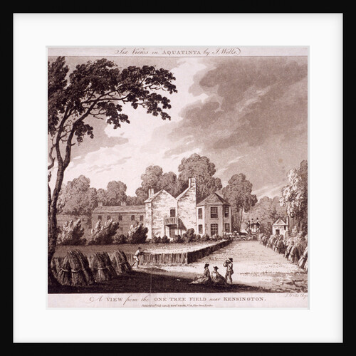 One tree field, Kensington, London by J Wells