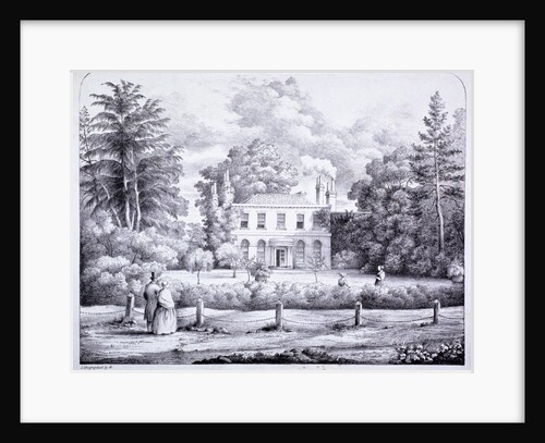 Elm Grove, Lewisham, London by Anonymous