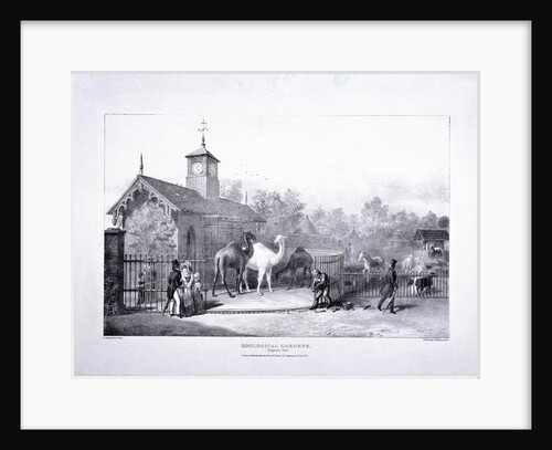 Zoological Gardens, Regent's Park, Marylebone, London by George Scharf