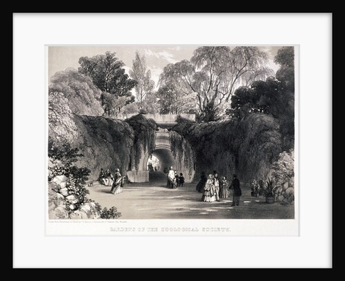 Zoological Gardens, Regent's Park, Marylebone, London by FW Hulme