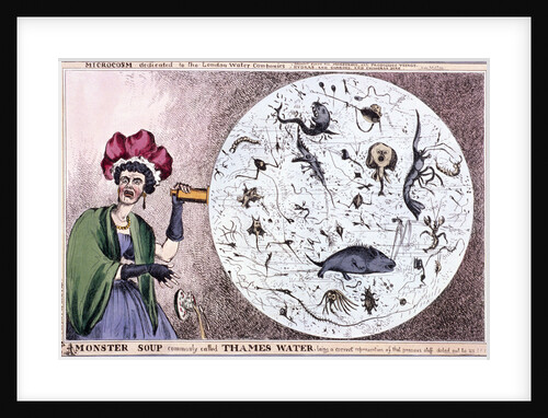 Monster soup commonly called Thames water... by Thomas McLean