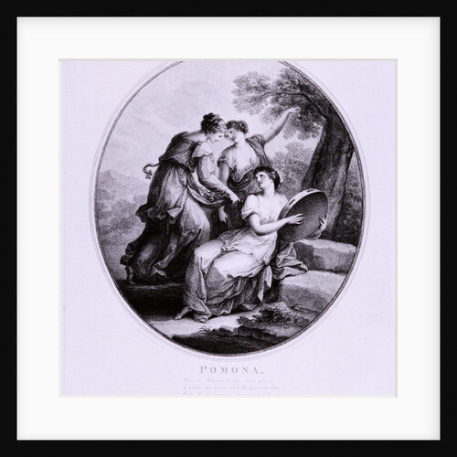 Pomona by Francesco Bartolozzi