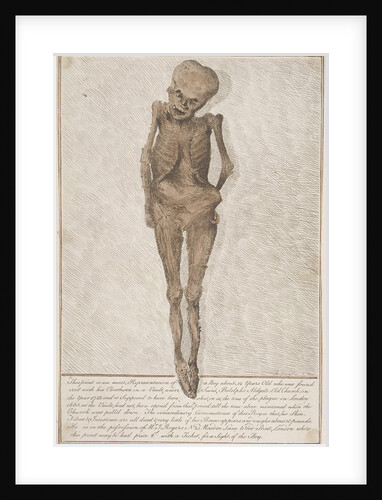 Skeleton of boy found in the vault at St Botolph, Aldgate, London by HA Rogers