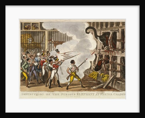 Destruction of the furious elephant at Exeter Change by George Cruikshank