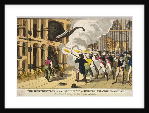 Destruction of the furious elephant at Exeter Change by Anonymous
