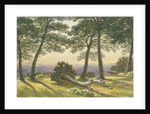 Hampstead Heath, London by J Powell