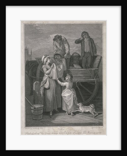 Fresh Gathered Peas Young Hostings, Cries of London by Pietro Bonato