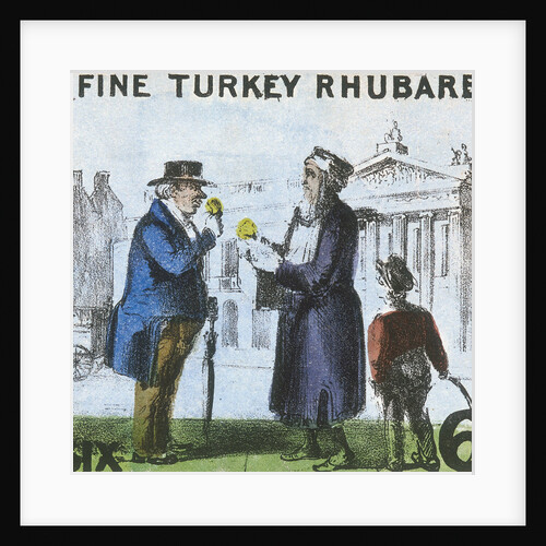 Fine Turkey Rhubarb!, Cries of London by TH Jones