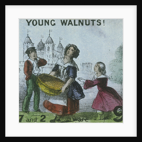 Young Walnuts!, Cries of London by TH Jones