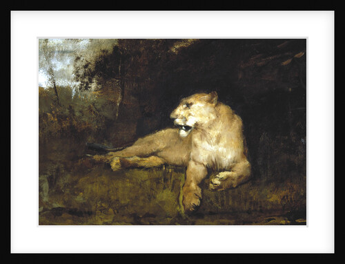 A Lioness by John MacAllan Swan