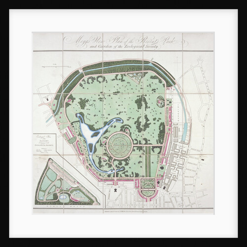 Plan of the Zoological Gardens, Regent's Park, St Marylebone, London by Edward Mogg