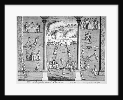 Mrs Midnight's Animal Comedians by Anonymous