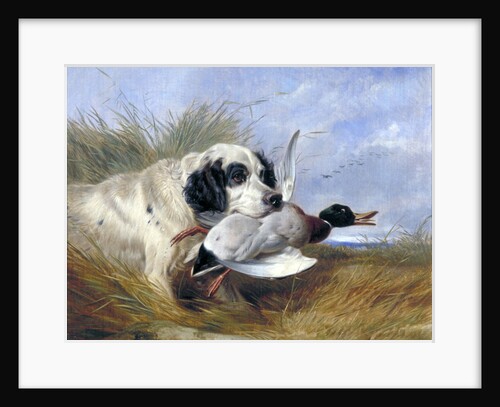Dog with Wild Duck by Richard Ansdell