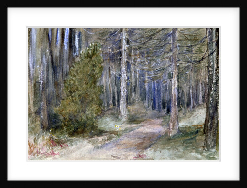 In a Wood by Anna Lea Merritt