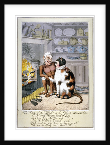 The man of the woods & the cat-o'-mountain by Anonymous