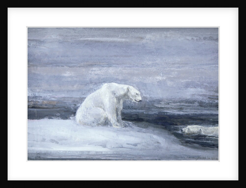 Polar Bears watching for Seals at an Ice Hole by John MacAllan Swan