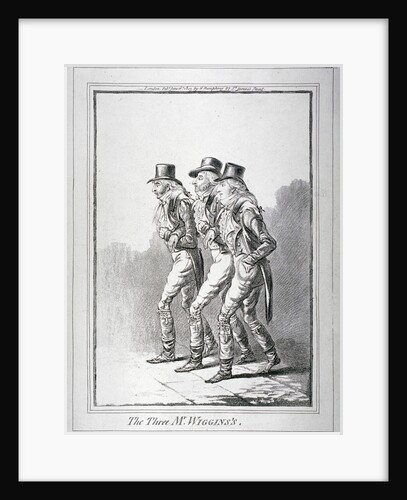 The Three Mr Wiggins's by Anonymous