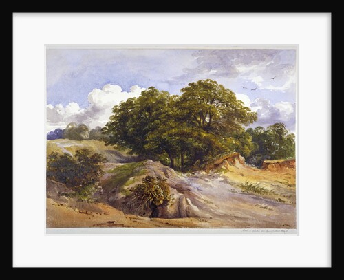 Hampstead Heath, London by Anonymous