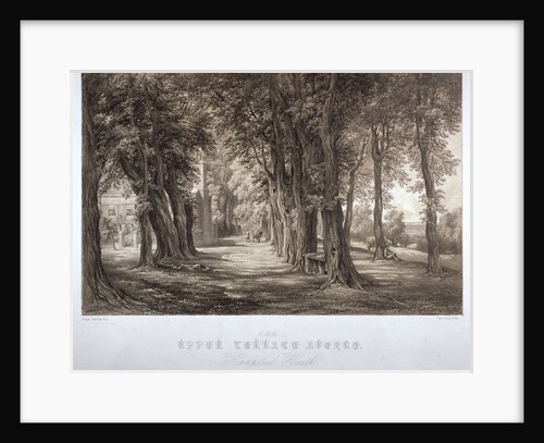 The Upper Terrace Avenue, Hampstead Heath, London by Paul Gauci