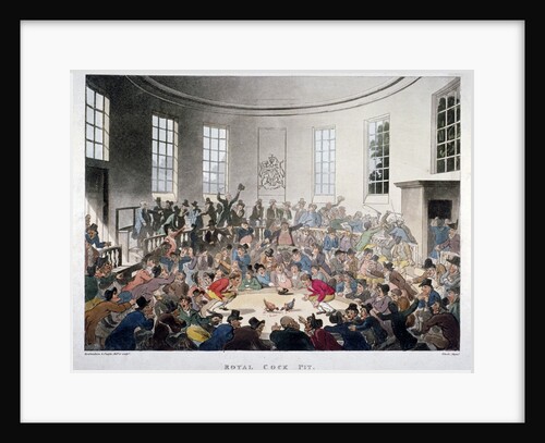 Royal Cock Pit by J Bluck