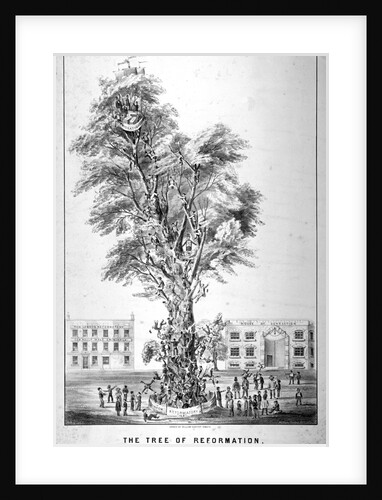 The Tree of Reformation by Anonymous