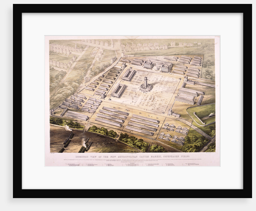 Metropolitan Cattle Market, London by King