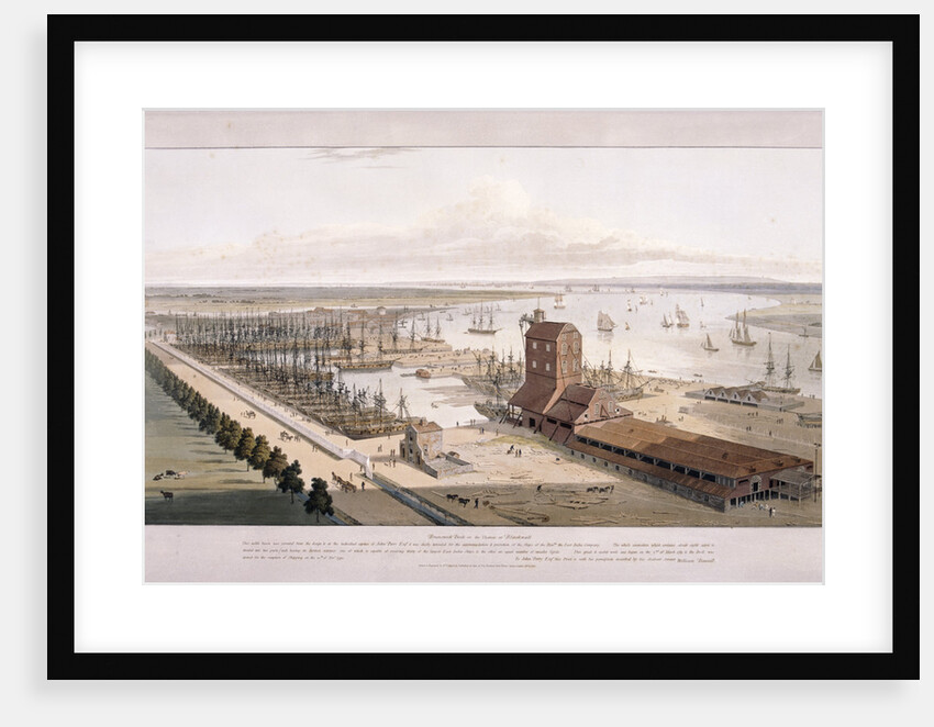 Brunswick Dock, and East India Dock, Poplar, London by William Daniell
