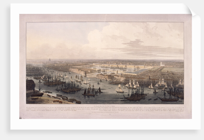 London Docks by William Daniell