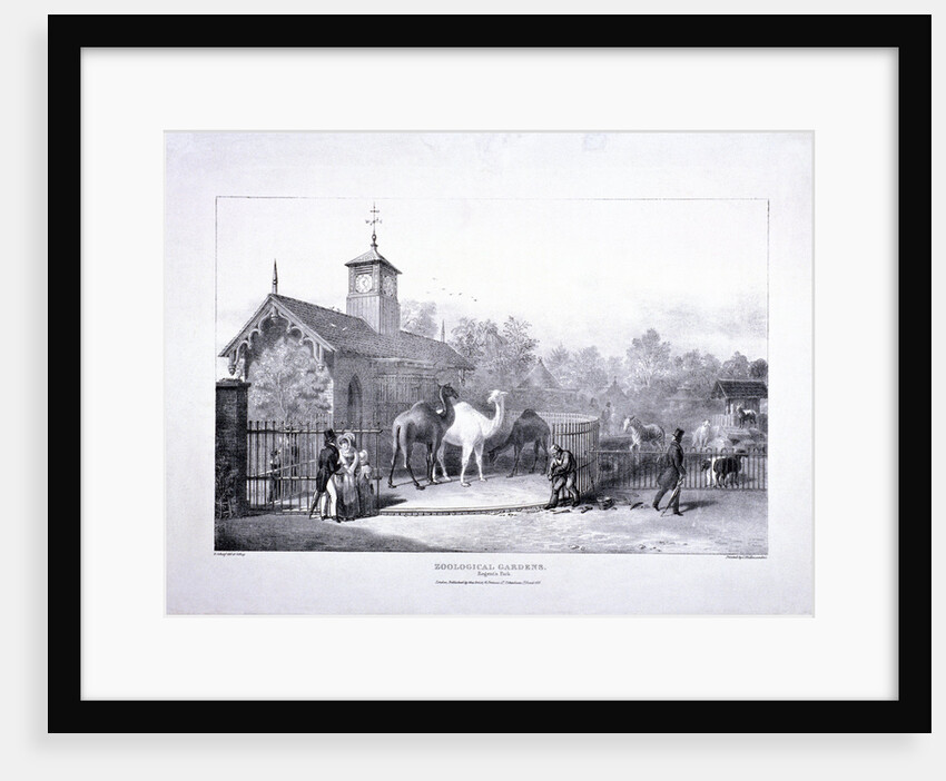 Zoological Gardens, Regent's Park, Marylebone, London by George Scharf