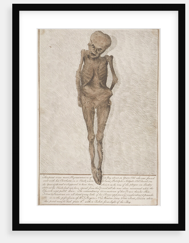 Skeleton of boy found in the vault at St Botolph, Aldgate, London by HA Rogers