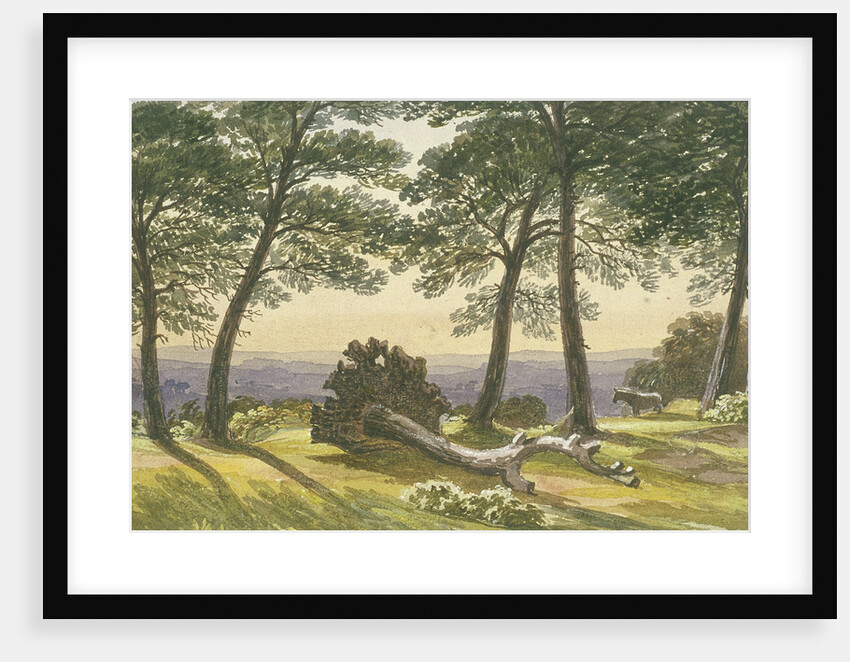 Hampstead Heath, London by J Powell