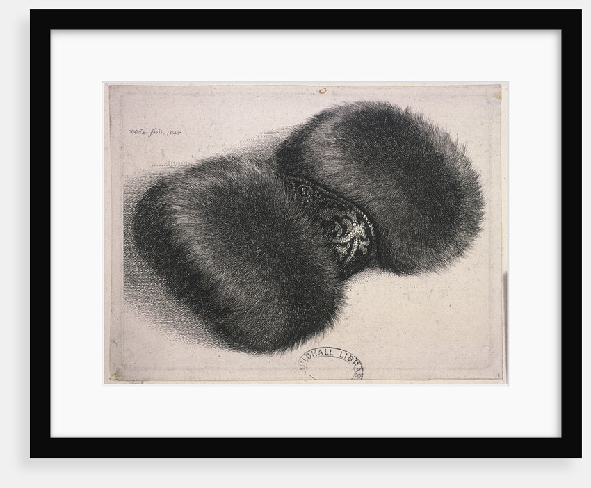 A large muff with a band of brocade by Wenceslaus Hollar