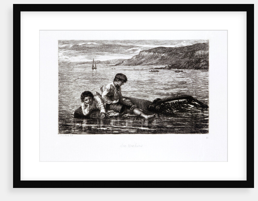 Sea Urchins by James Clarke Hook