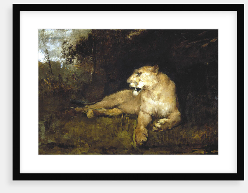A Lioness by John MacAllan Swan