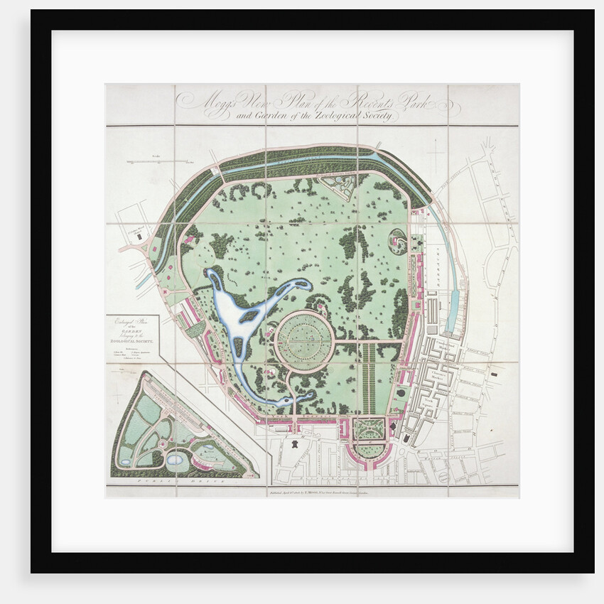 Plan of the Zoological Gardens, Regent's Park, St Marylebone, London by Edward Mogg
