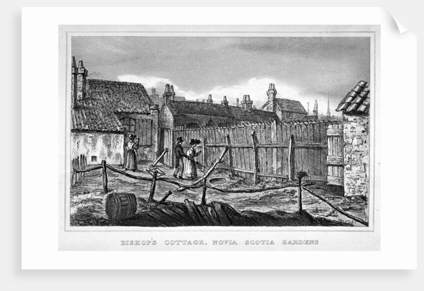 Bishop's cottage, Nova Scotia Gardens, Bethnal Green, London by Anonymous