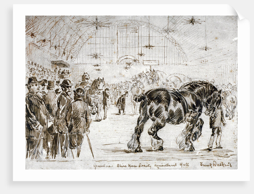 Meeting of the Shire Horse Society in Islington's Agricultural Hall, London by Frank Watkins