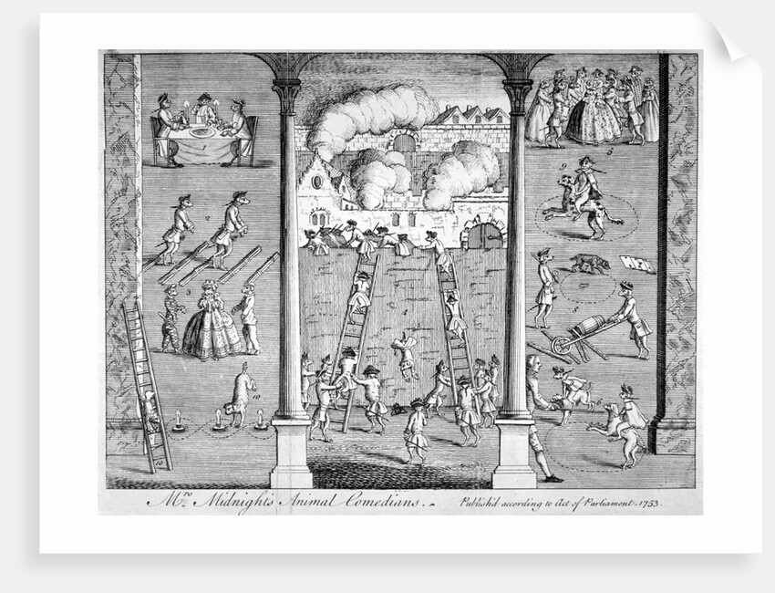 Mrs Midnight's Animal Comedians by Anonymous