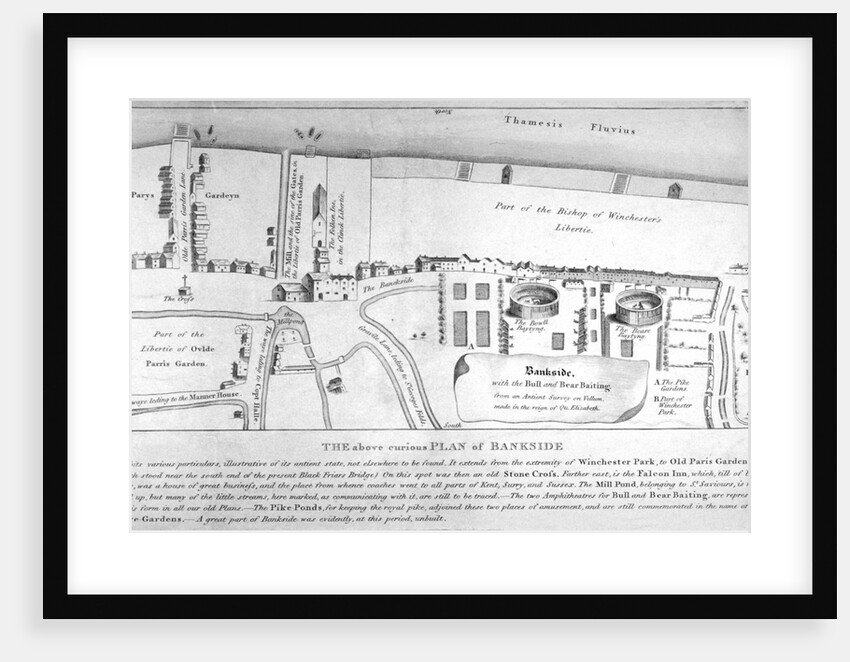 Plan of Bankside, Southwark, London by Anonymous
