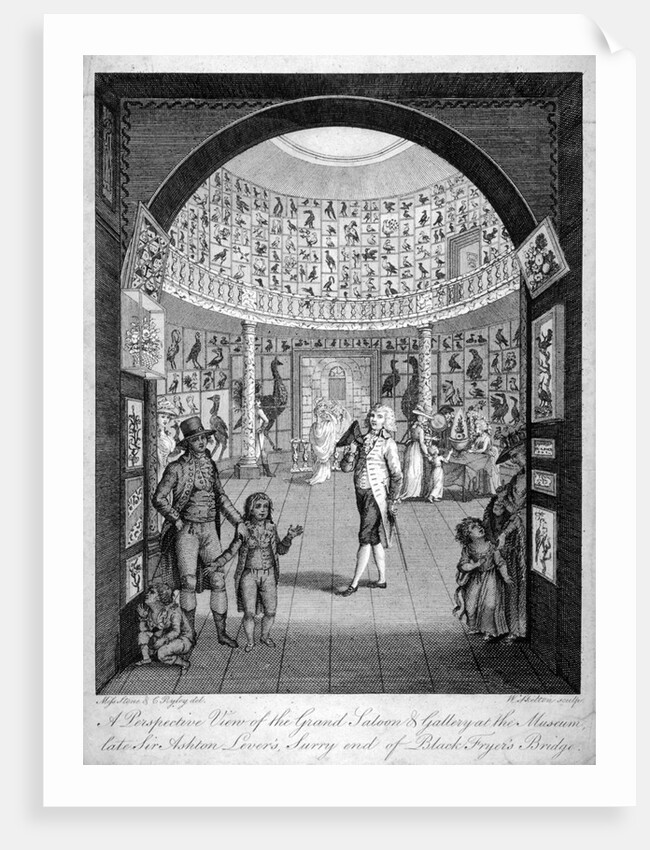 Interior view of the Leverian Museum, Albion Place, Southwark, London by William Skelton