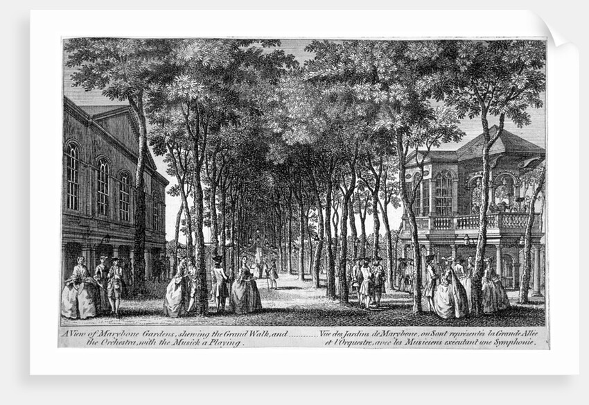 Marylebone Gardens, Marylebone, London by Anonymous