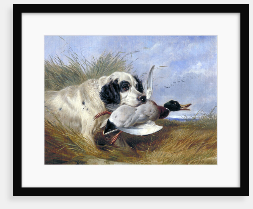 Dog with Wild Duck by Richard Ansdell