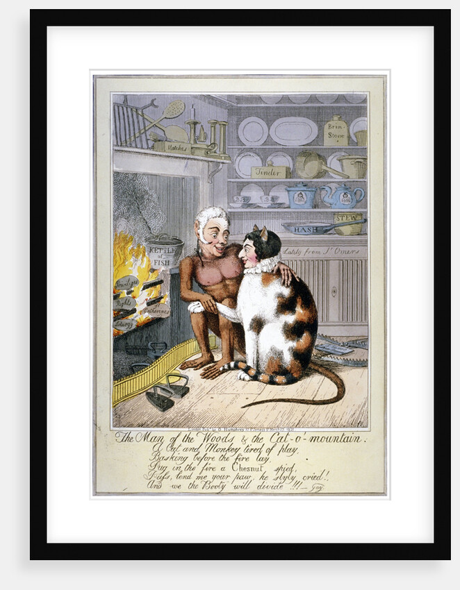 The man of the woods & the cat-o'-mountain by Anonymous