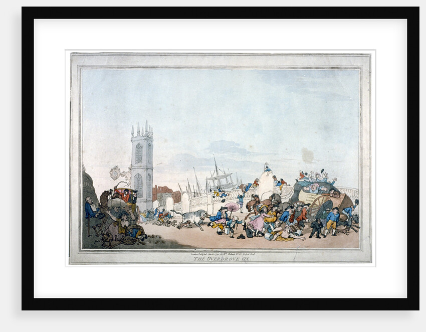 The Overdrove ox by Anonymous